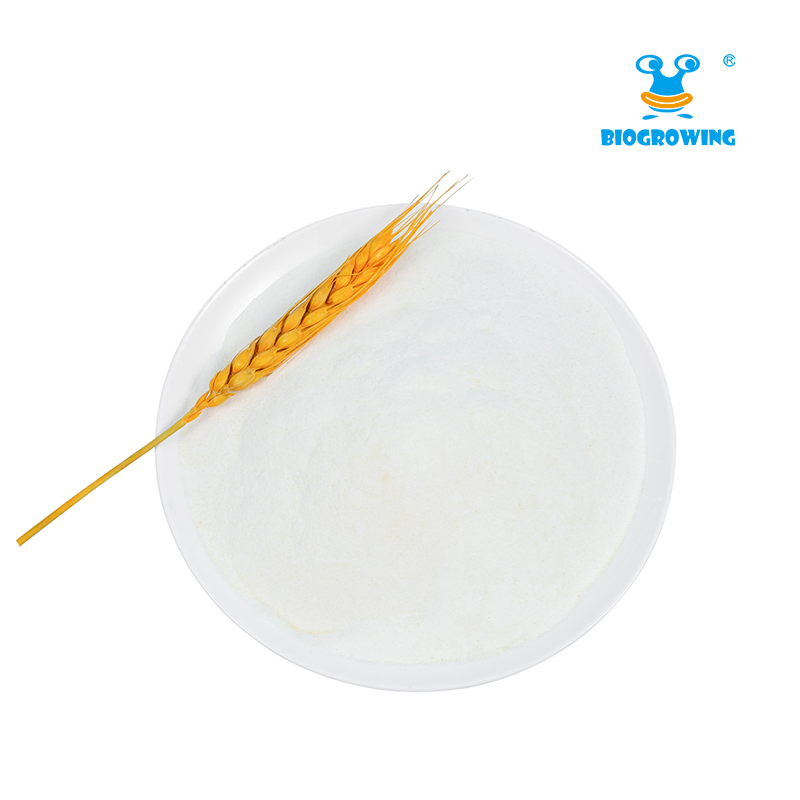 Health Supplement Ingredient Lactobacillus Casei for Weight Management