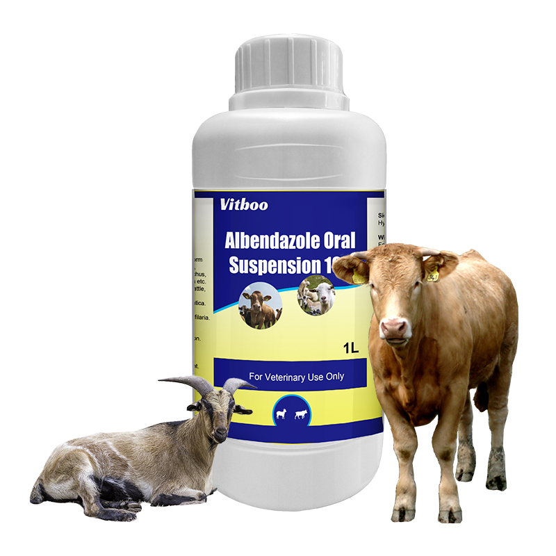 China GMP ISO Factory Directly Veterinary Drug Natural Chinese Herbal Medicine Anti Virus Oral Solution