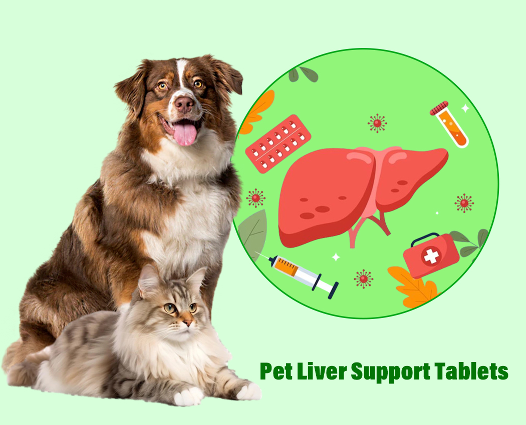 Herbal Liver Care Healthcare Tablets Pet Supplements Private Label Liver Detox Chew Bites