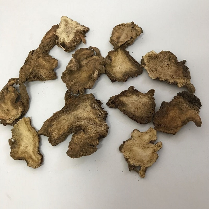 Du Huo Crude Herbal Medicine Radix Angelicae Pubescentis
