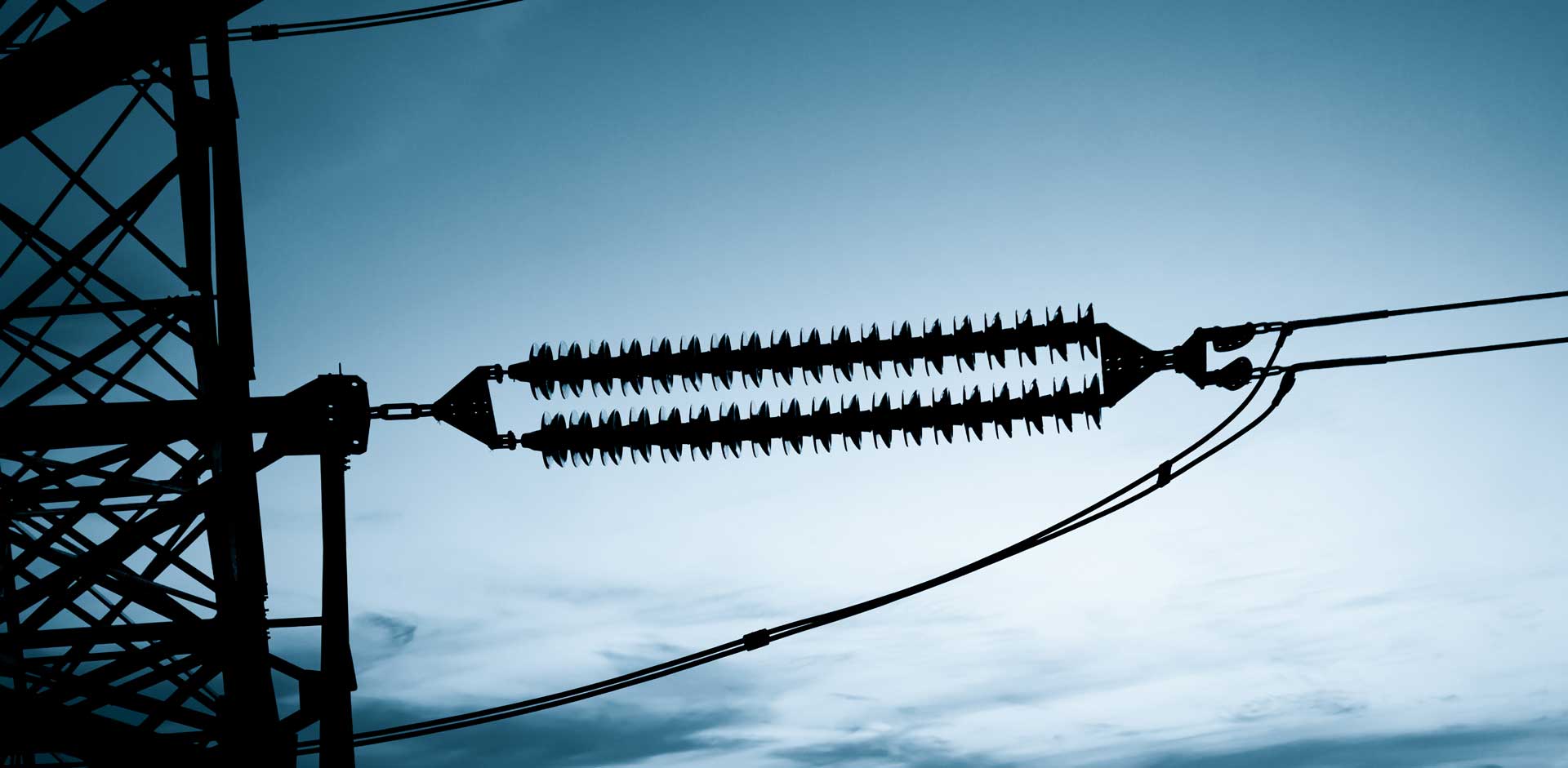 High voltage power systems and special environments insulator applications