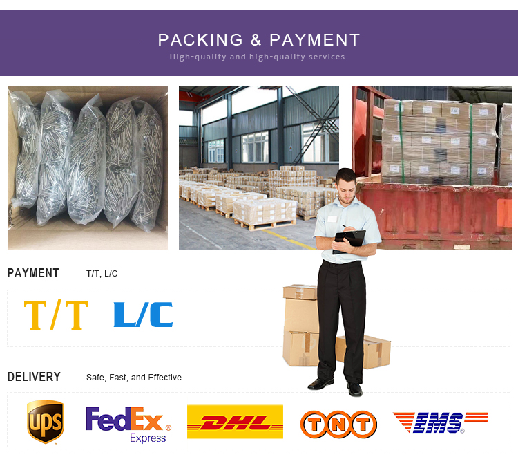 Packing and Payment details