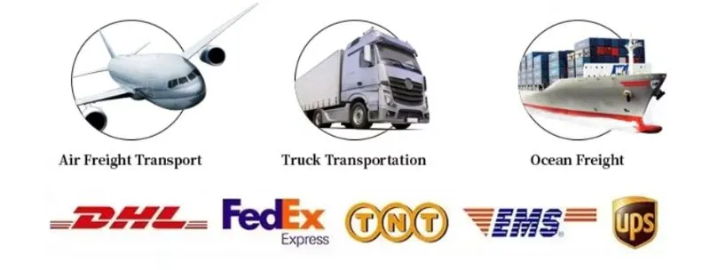 Shipping Logistics