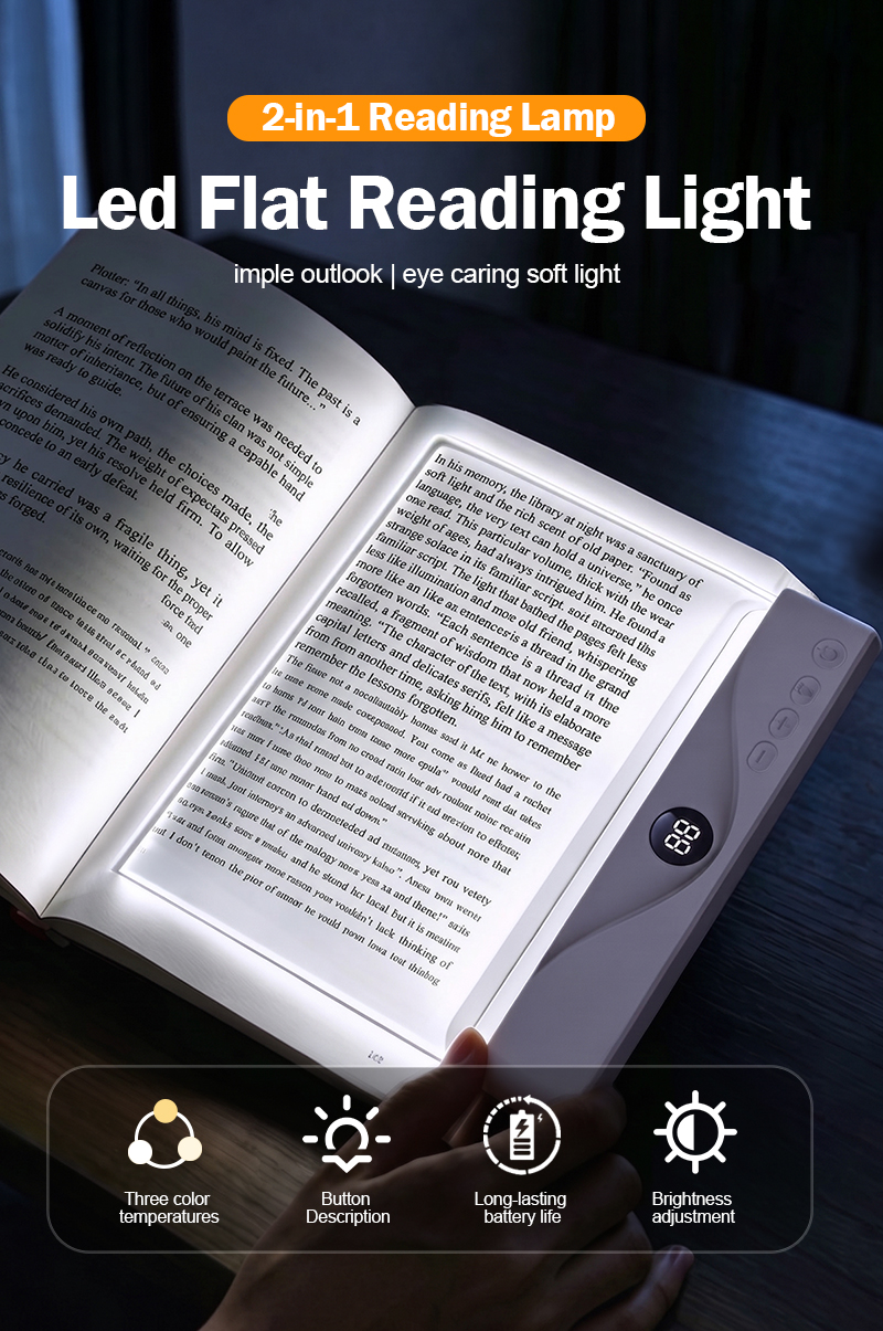 Reading Lamp