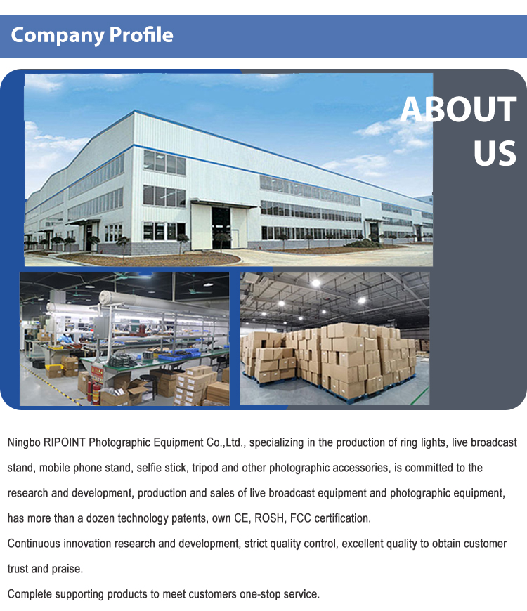 Company Showcase 1