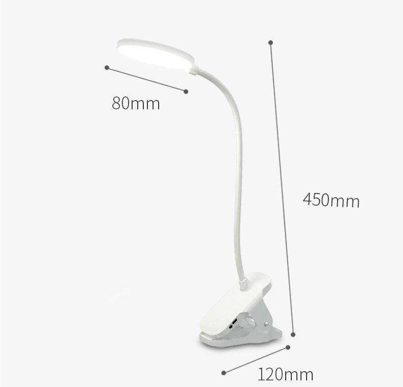 LED Reading Light