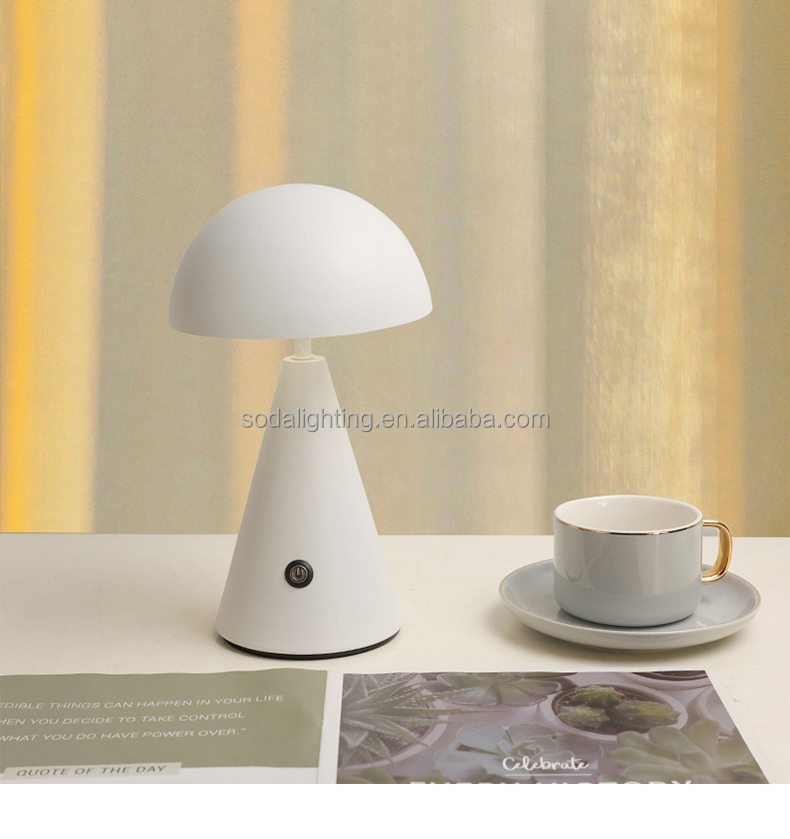 Metal Lamp Body Led Night Light 1