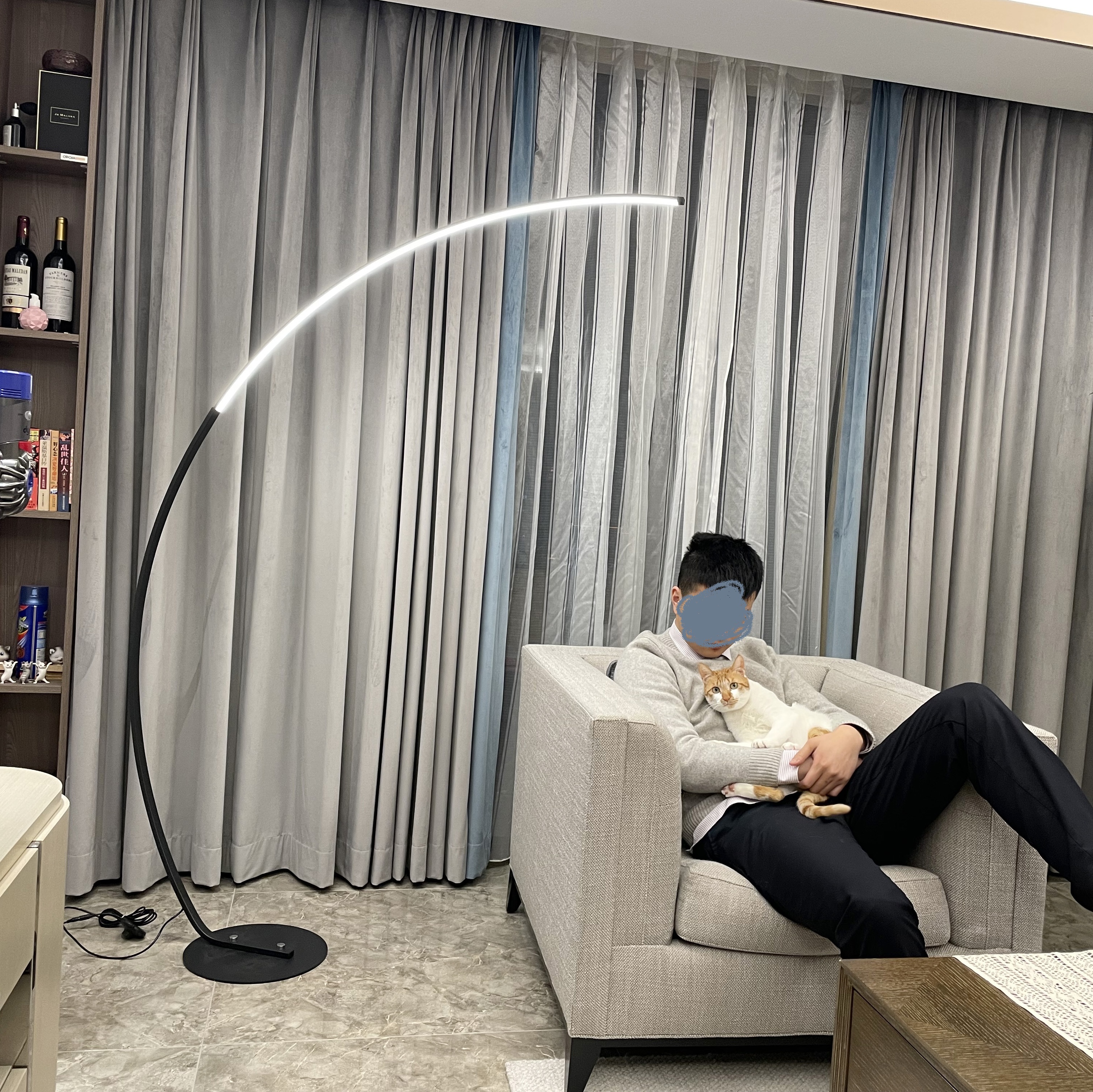 Arc Shaped Nordic Aluminum LED Floor Lamp with Metal Shade for Living Room by Remote Control