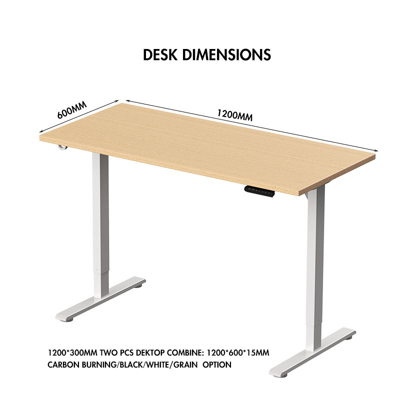 2026 NEW Modern Metal Single Motor Electric Smart Standing Desk with Sit Stand up Table Height Adjustable Desk for Office