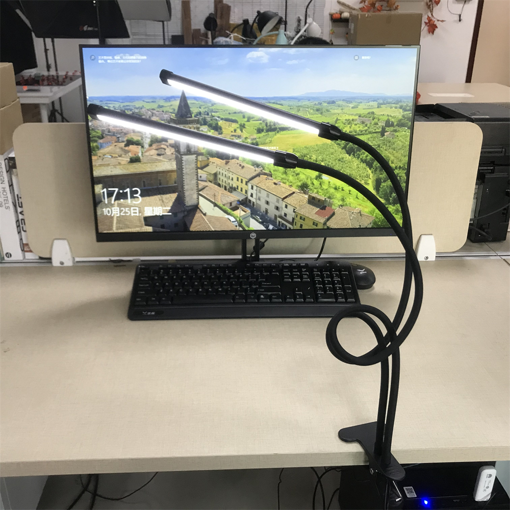 Living Room Reading Lamp with Clamp USB Powered Table Lamps Flexible Gooseneck Clip on Double Lights LED Desk Lamp