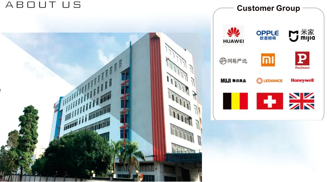 Development Process