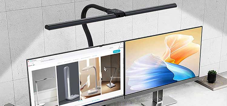 Double Head desk clamp lamp