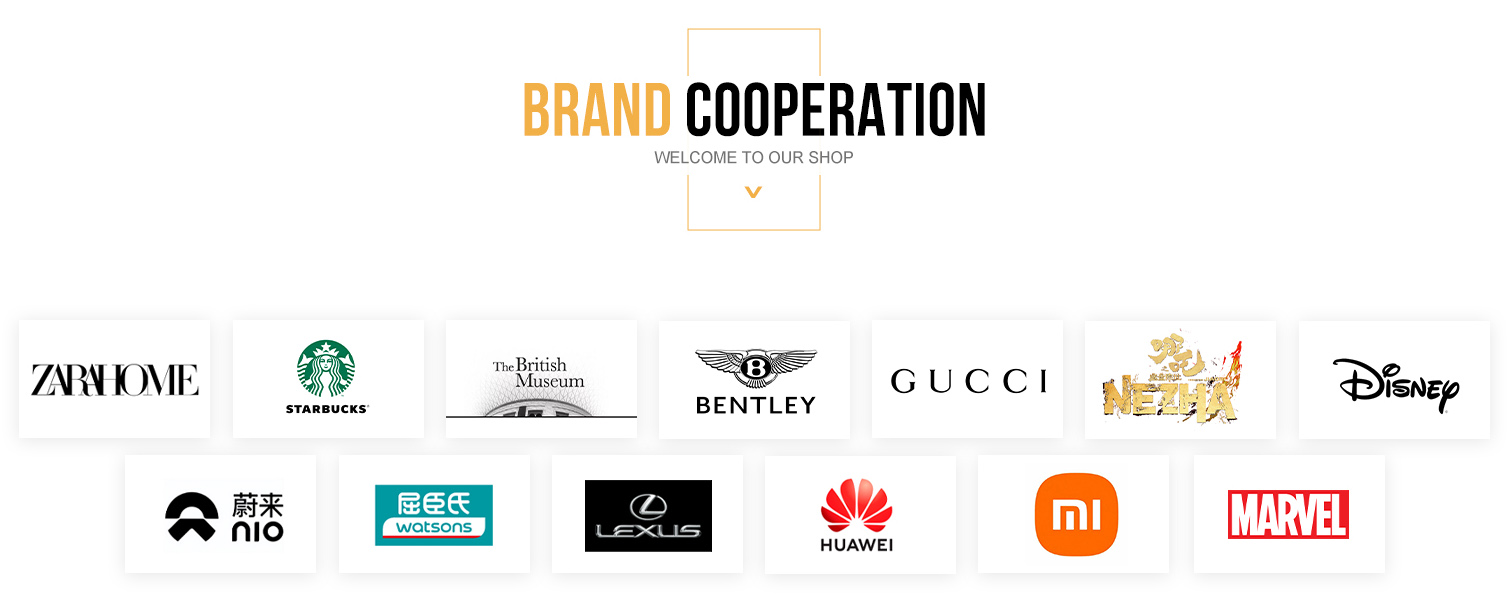 Cooperation Partners