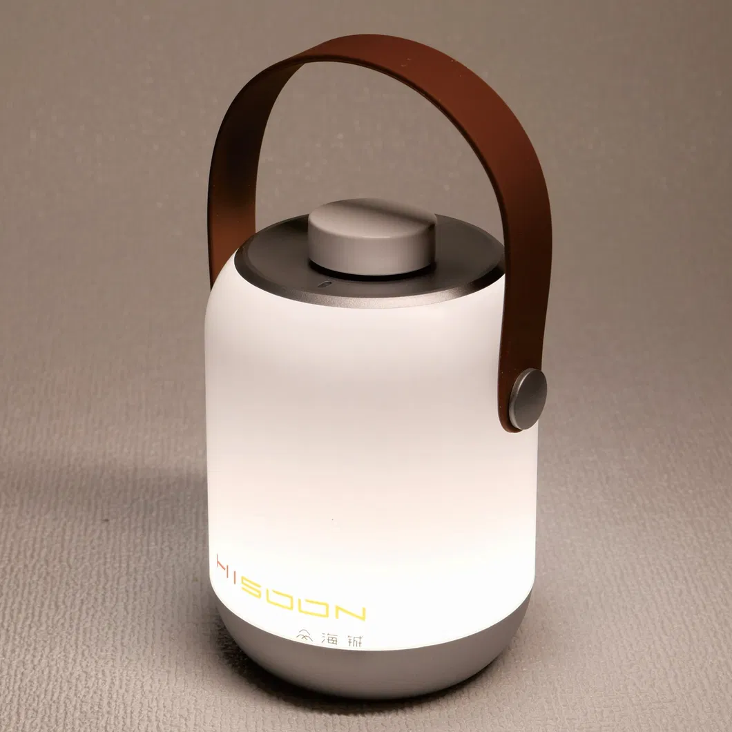 Modern Design Outdoor Rotary Switch USB Rechargeable Portable Camping Lamp