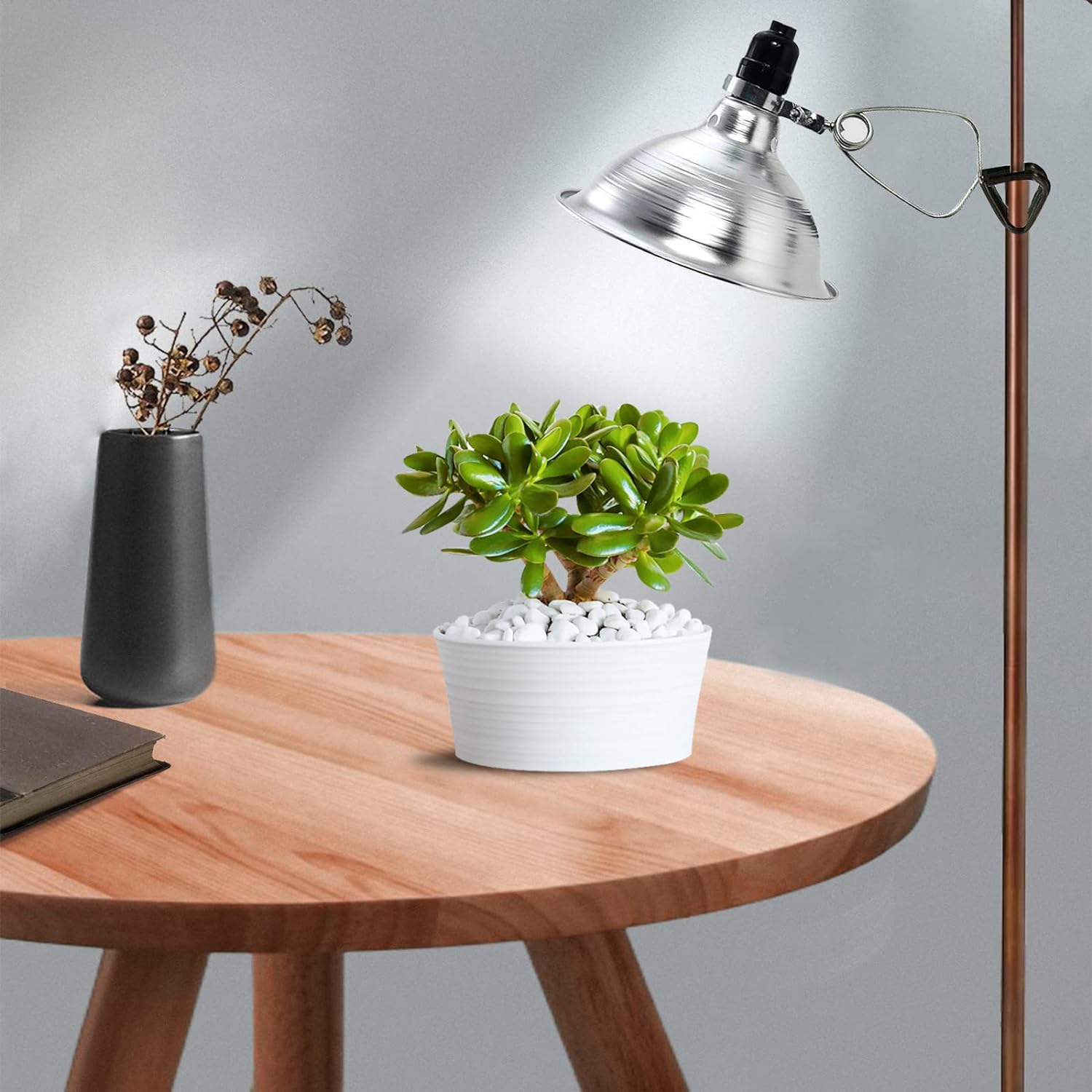 Clamp Lamp Light with Detachable 8.5 Inch Aluminum Reflector, 150 Watt E26 Socket (No Bulb Included), 6 Foot 18/2 SPT-2