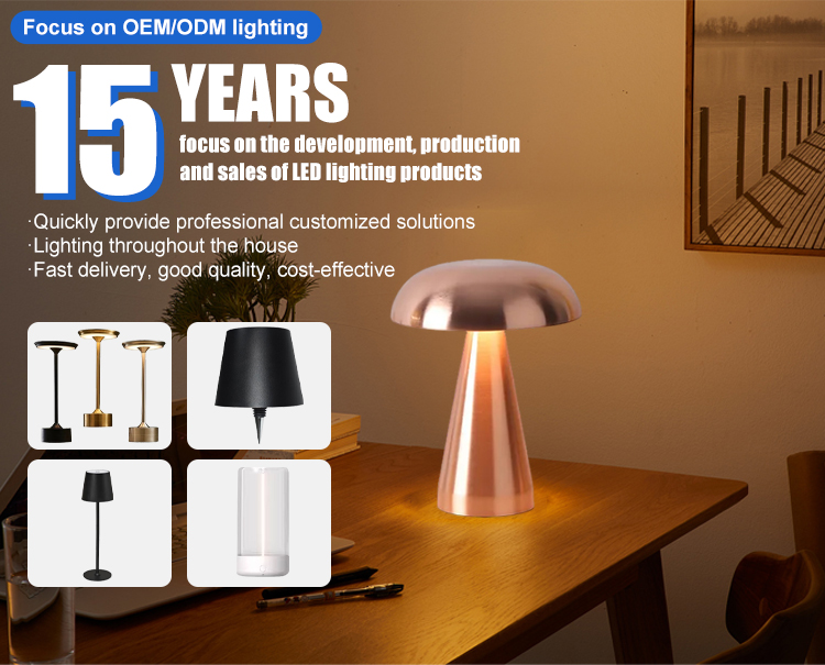 Product Details 1