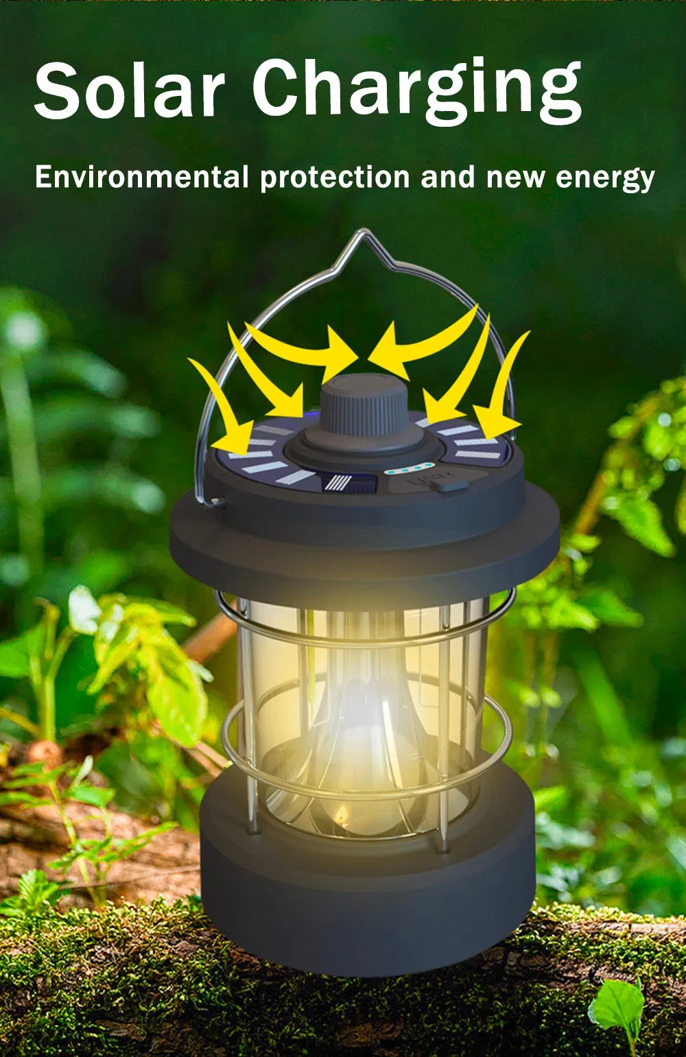 Lantern Display 4
