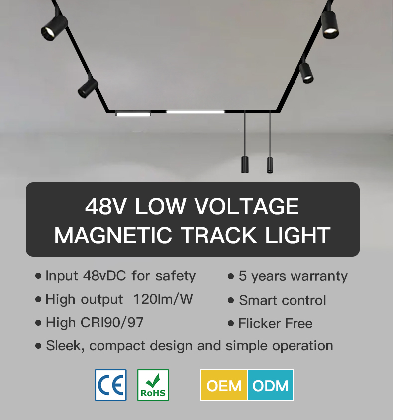 High Quality 48V 6W Magnetic LED Track Light Used for Commercial Lighting