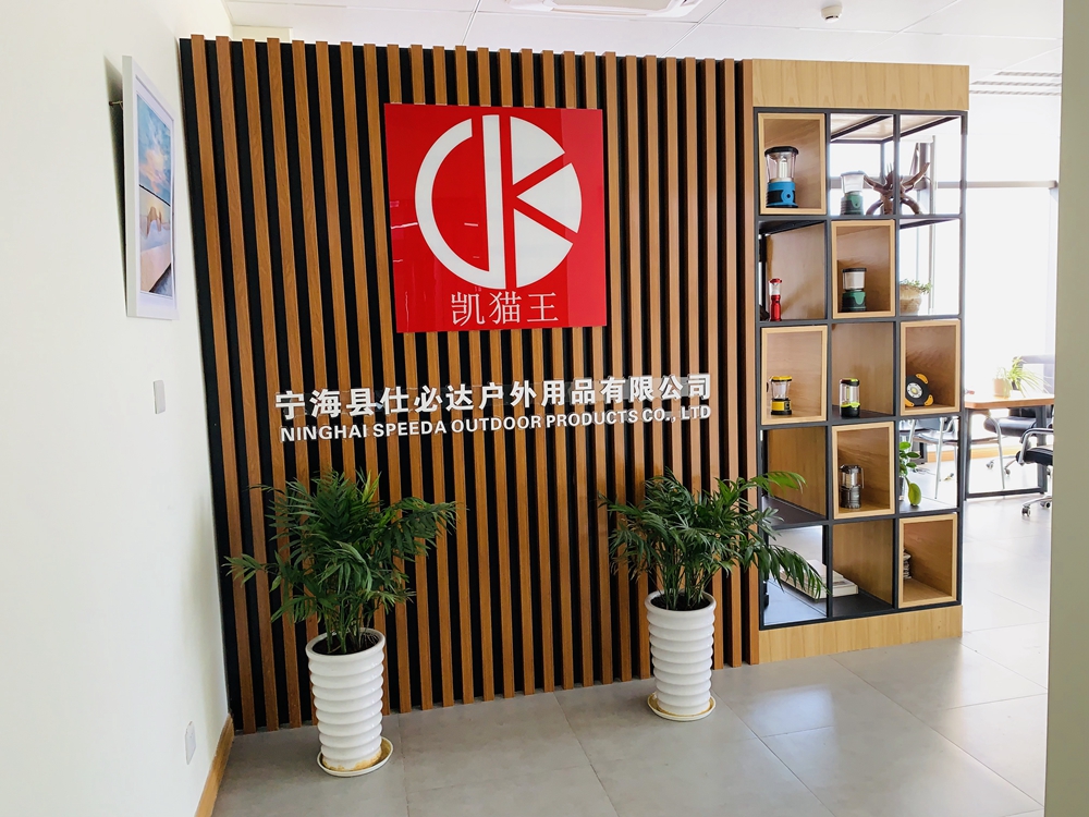 Company Showcase 3