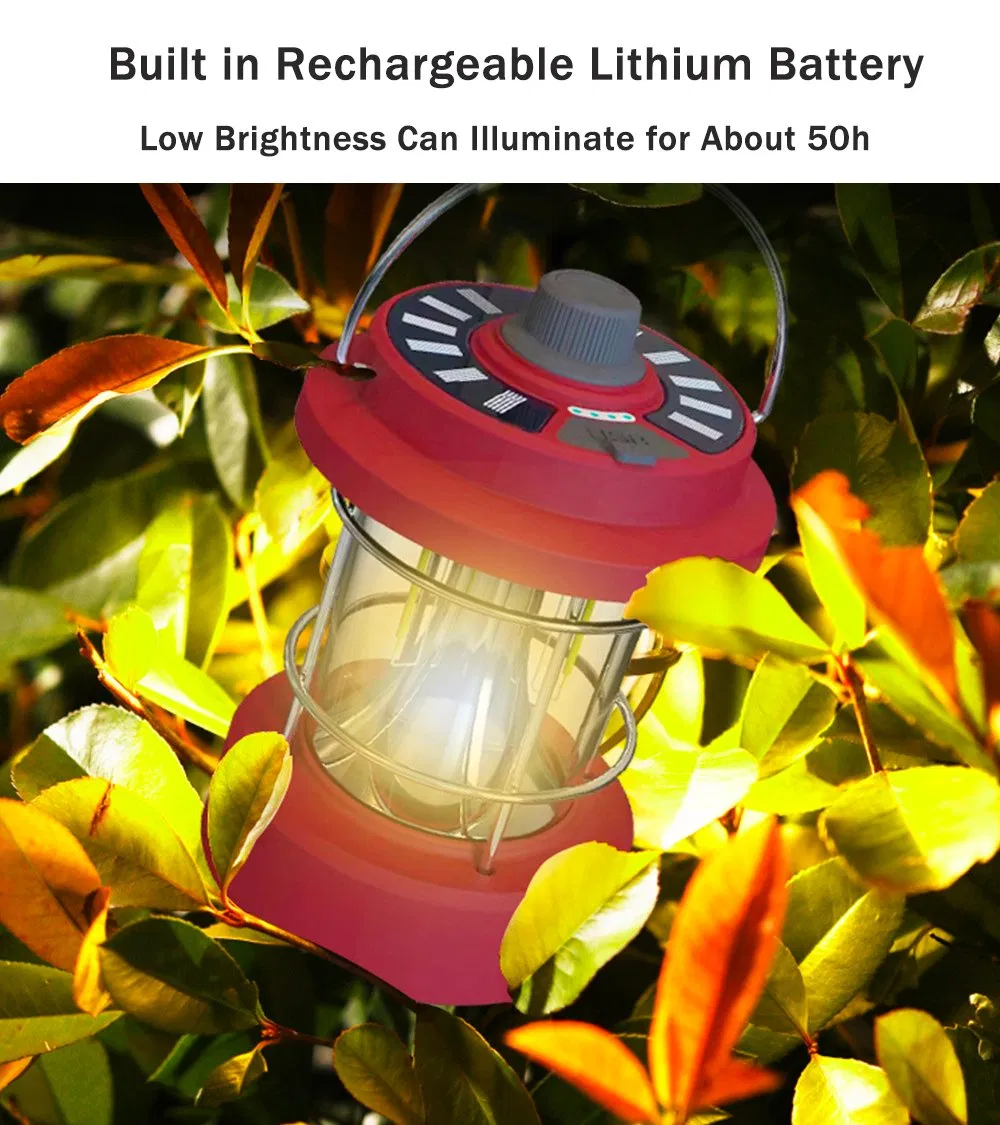 Lantern Display 2
