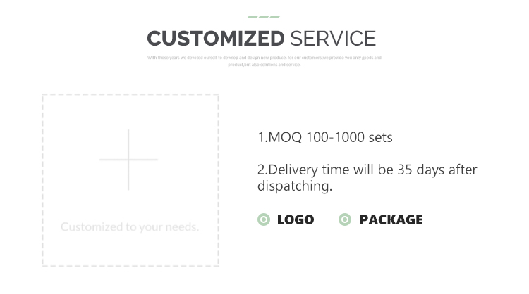 Customization Service 1
