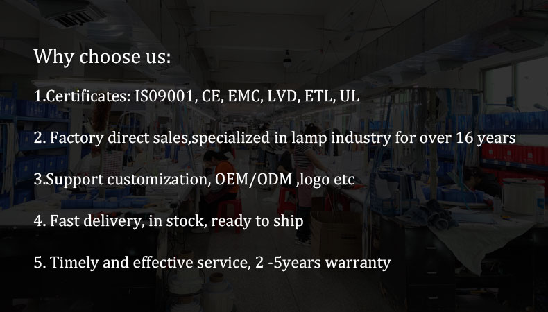 Product Showcase
