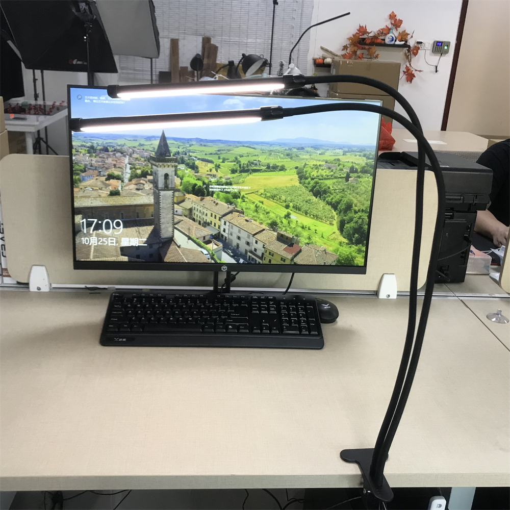 Living Room Reading Lamp with Clamp USB Powered Table Lamps Flexible Gooseneck Clip on Double Lights LED Desk Lamp