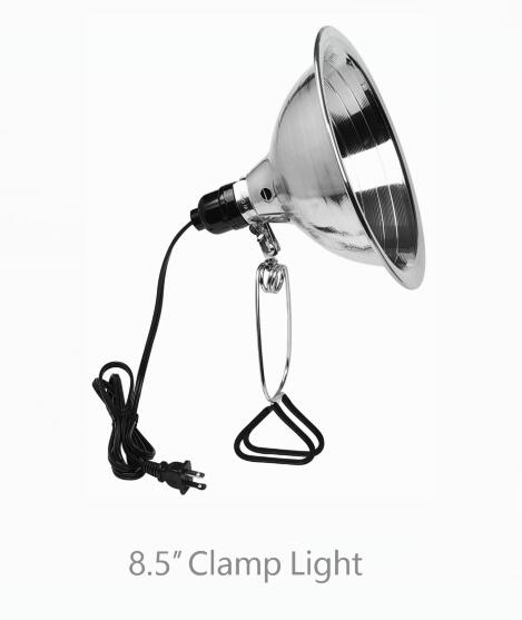 Recommend 2
