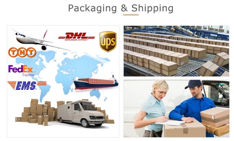 Transport and Logistics Layout
