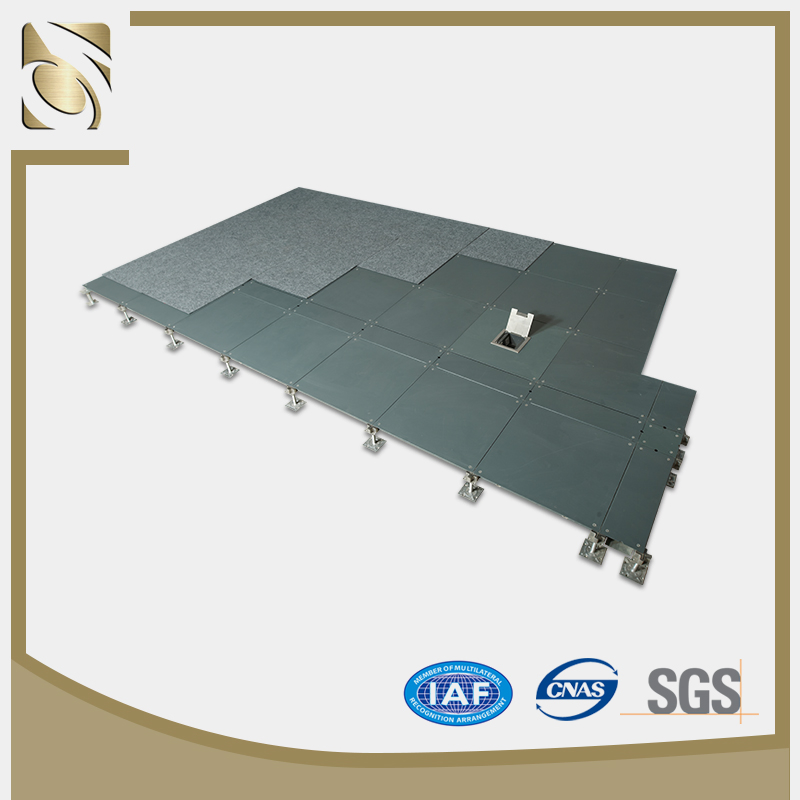 Anti Static Raised Access Floor for Clean Room or Factory Plant