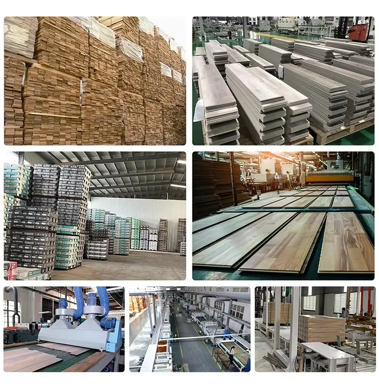 Certification Detail 3