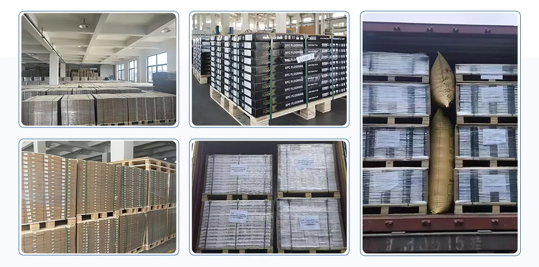 Logistics and Packaging