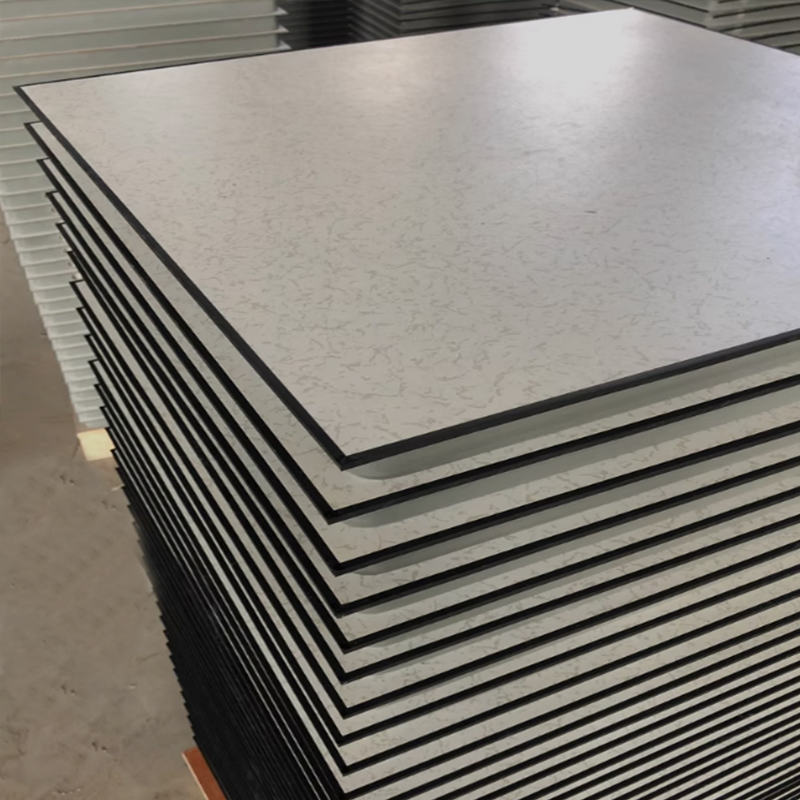 Raised Technical Floor Raised Floor Panel Cement Anti-Static Flooring Used in Clean Rooms