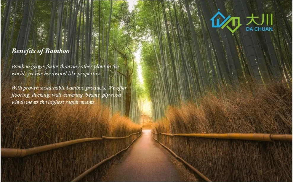 Bamboo Decking Outdoor