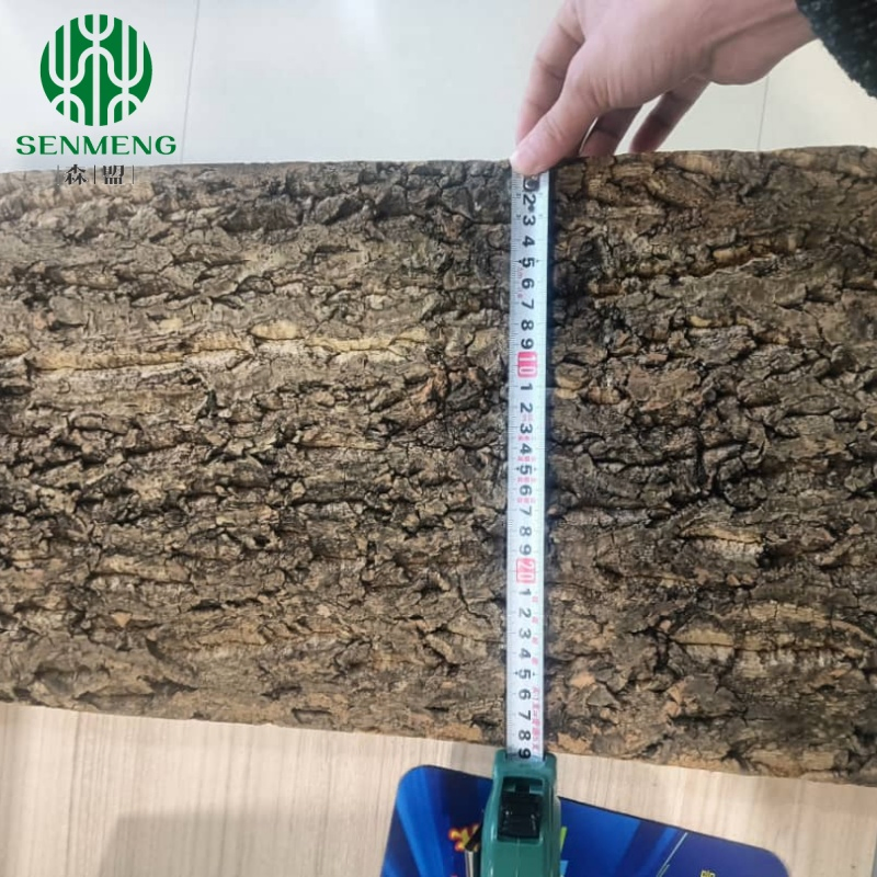 Eco Friendly Cork Bark Wall Tiles for Sustainable Interior Design