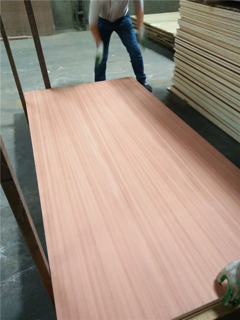 Sapele plywood