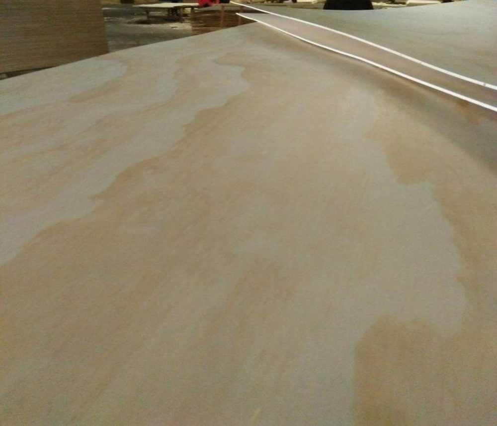 Ce Carb Grade Full Poplar Core Larch Plywood, Radiata Pine Plywood