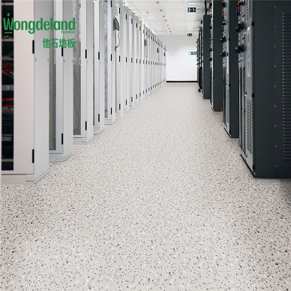 China-Made Anti-Static Vinyl Flooring for Clean Room Applications