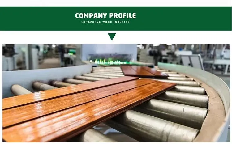 Certification Detail 4