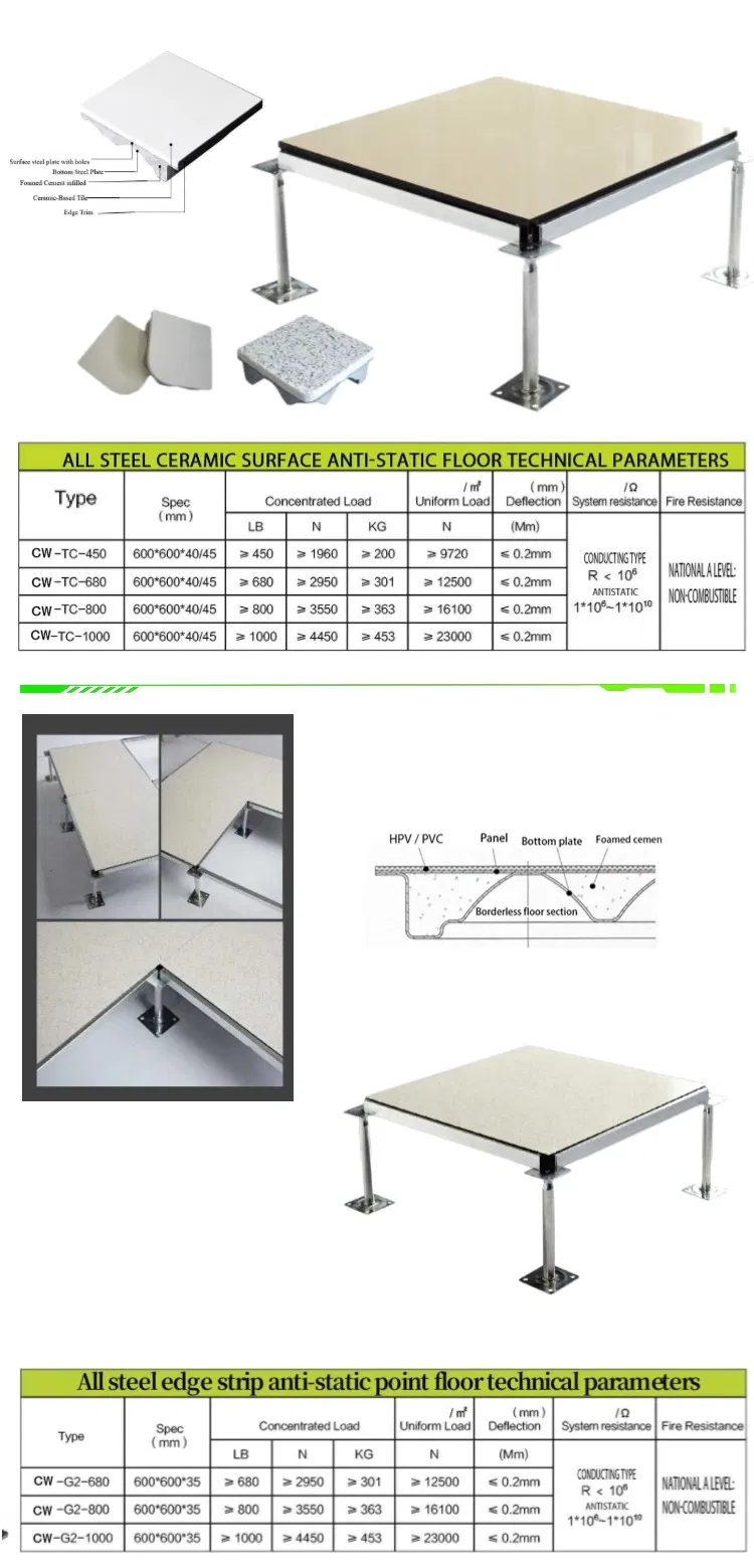 Anti-Static Raised Floor 2
