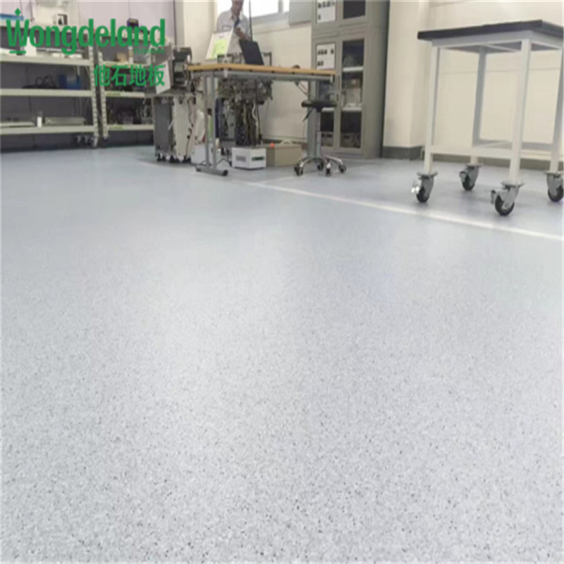 China-Made Anti-Static Vinyl Flooring for Clean Room Applications