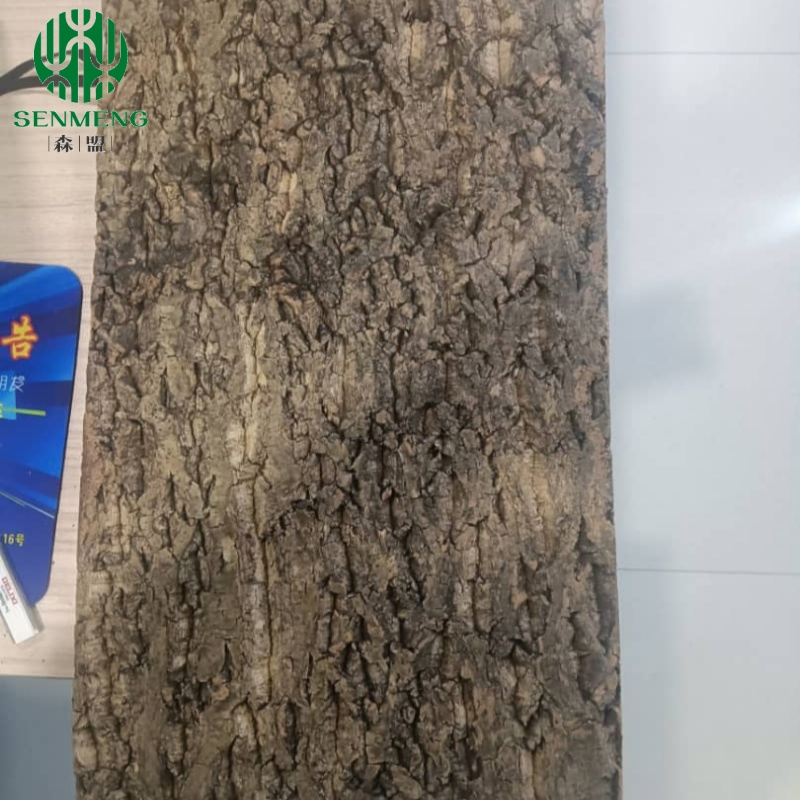 Sustainable Natural Cork Bark Tiles for Eco Friendly Wall Decoration