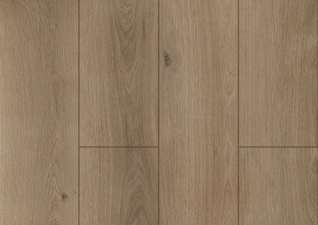 SPC Flooring Feature