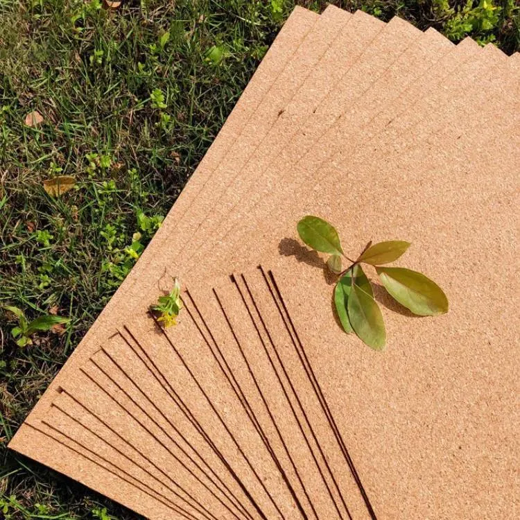 Eco-Friendly Cork Material