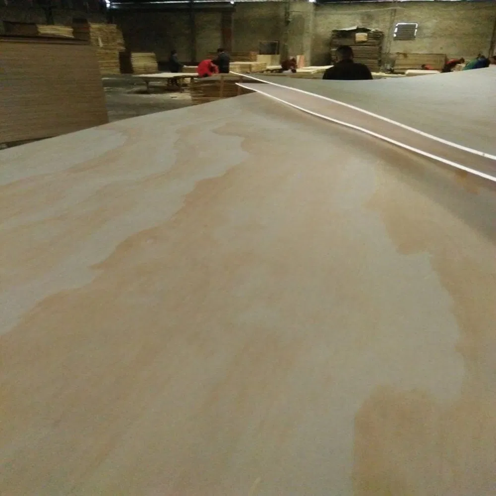 Ce Carb Grade Full Poplar Core Larch Plywood, Radiata Pine Plywood