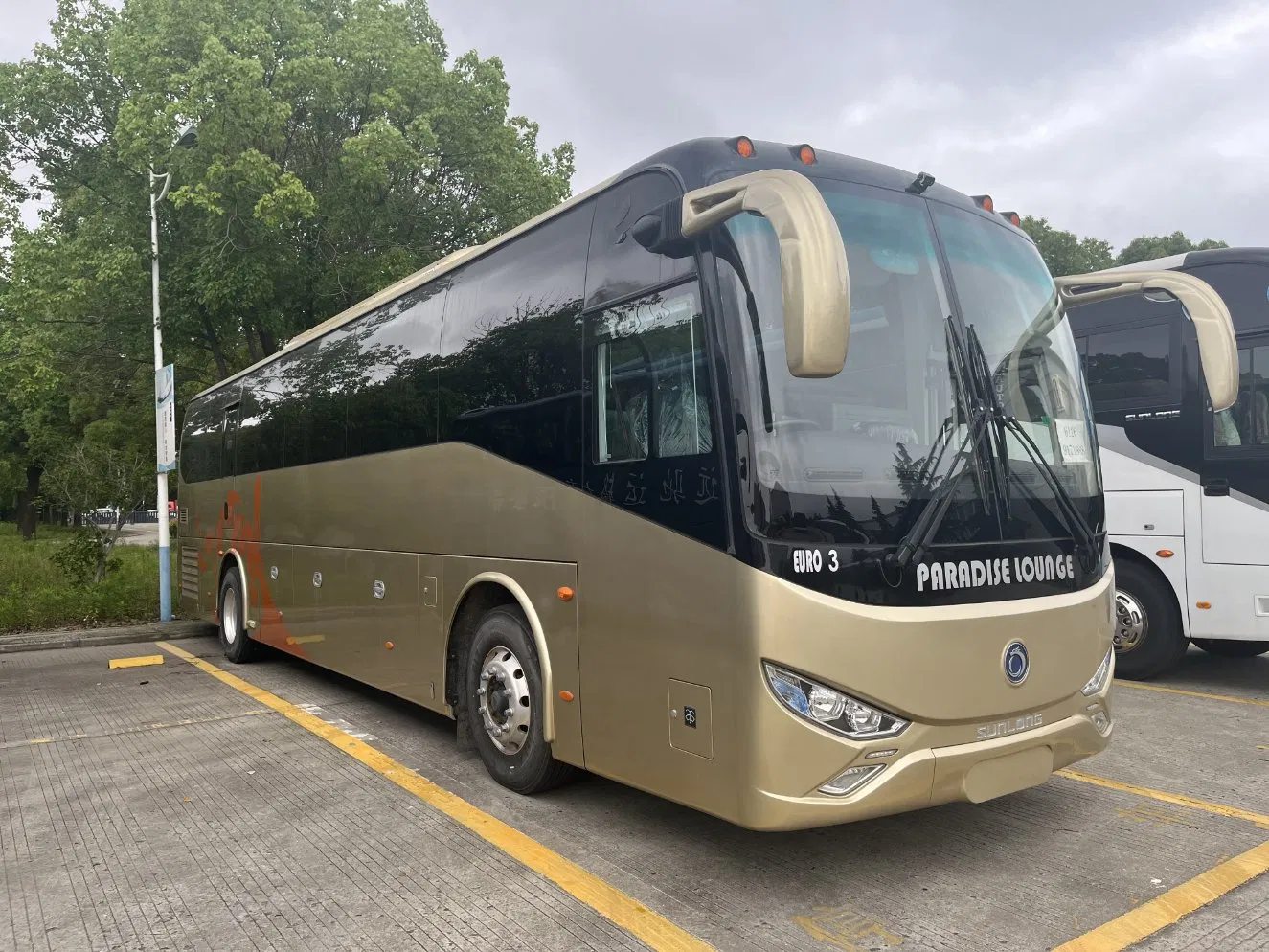 Luxury Right Steering/Rhd 50-60 Seats Intercity/Coach Stock Bus