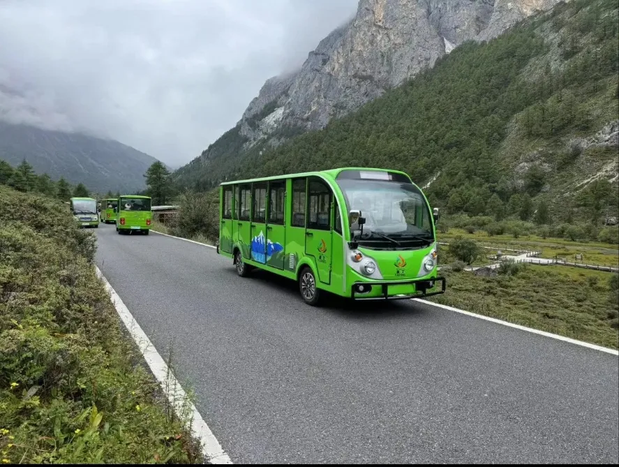 Sightseeing Bus View 3