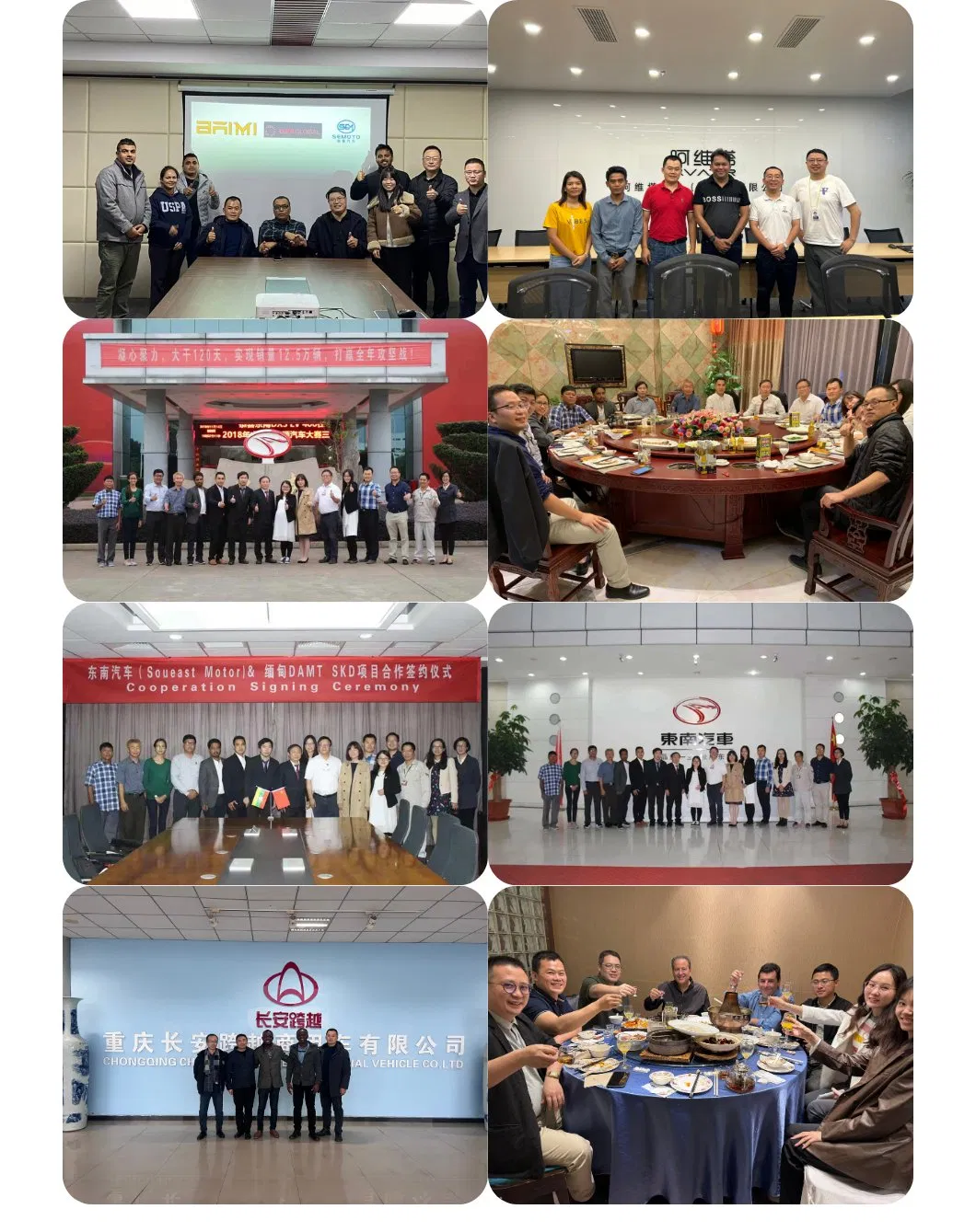 International Cooperation