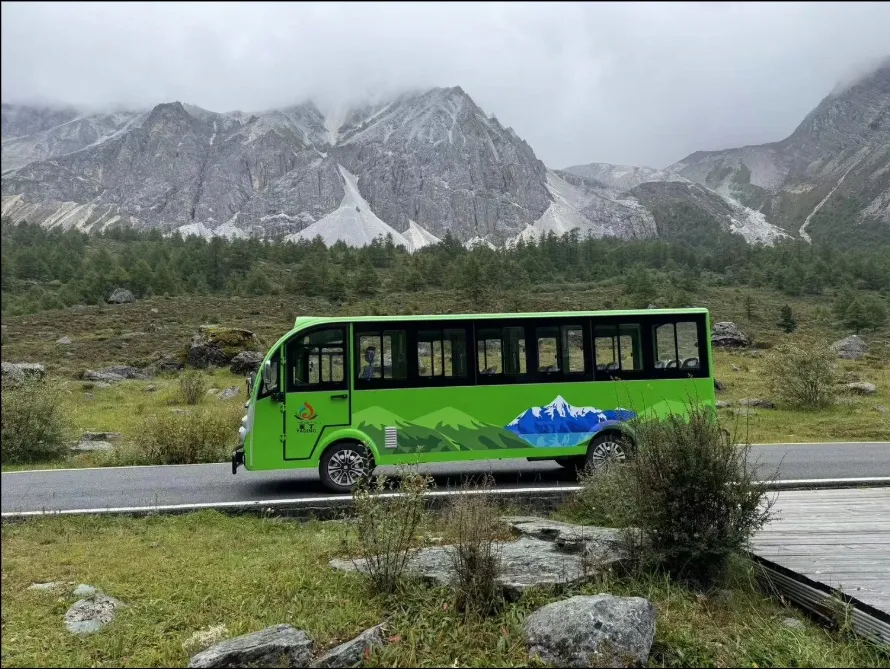 Sightseeing Bus View 5