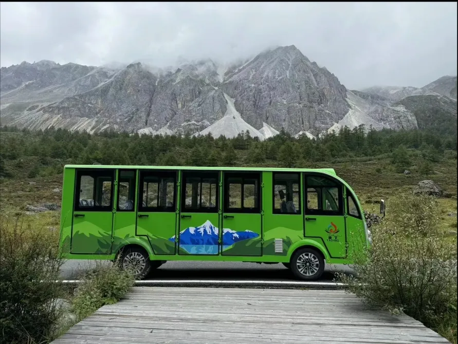 Sightseeing Bus View 4